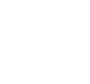 web design services