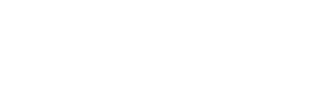 microsoft business partner